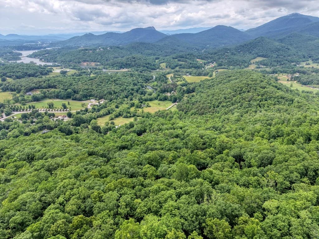 22 Buckhead Hills, Hiawassee GA 30546 - Photo