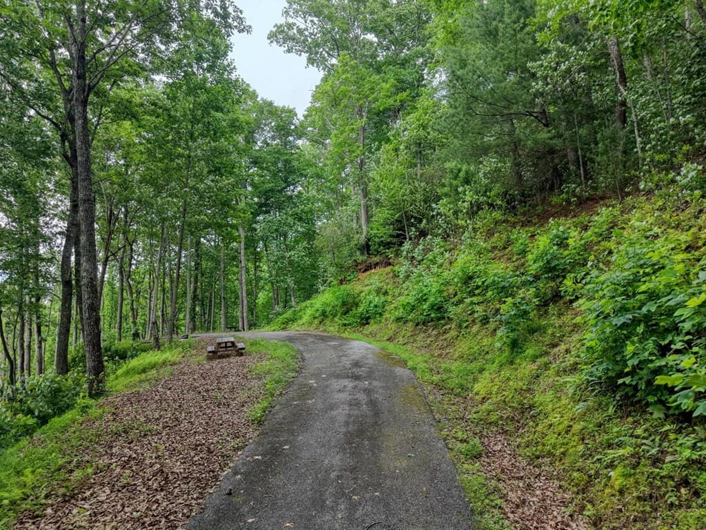 22 Buckhead Hills, Hiawassee GA 30546 - Photo