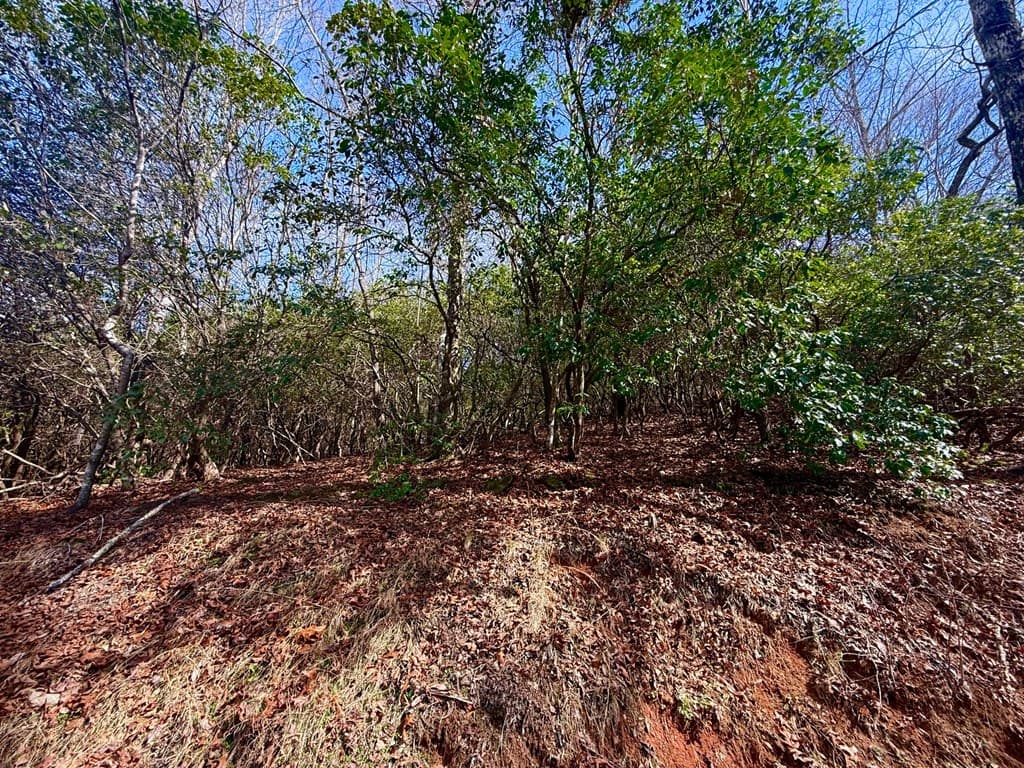 3.06 Ac Ridgeline Drive, Brasstown SC 29802 - Photo