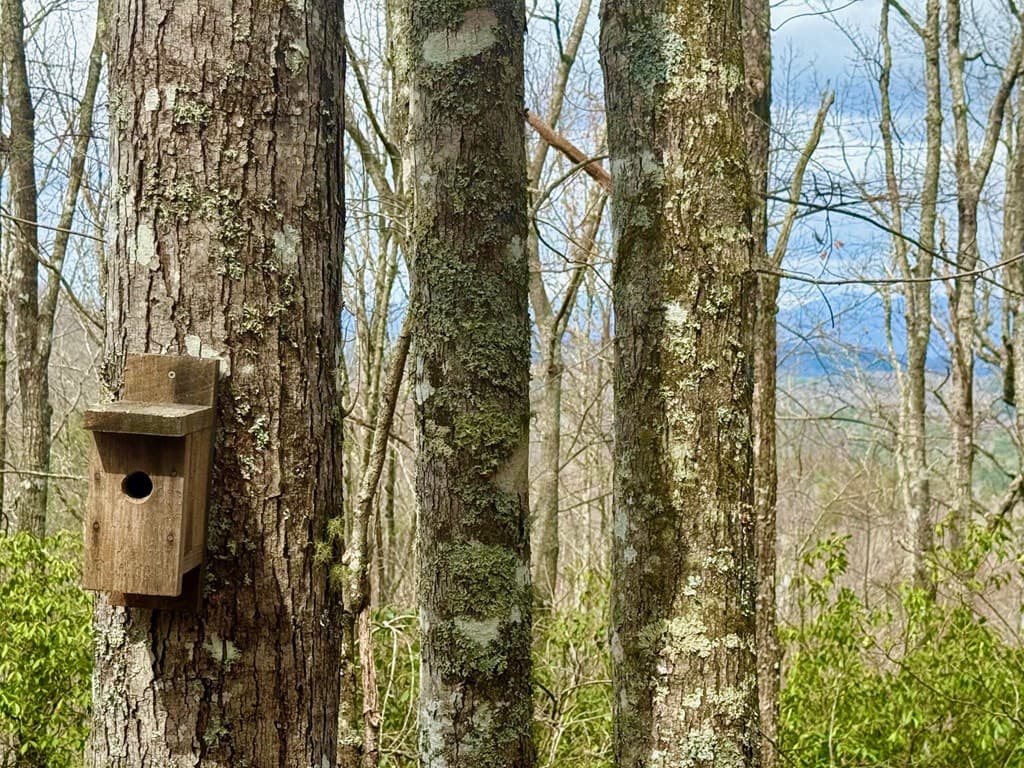 3.06 Ac Ridgeline Drive, Brasstown SC 29802 - Photo