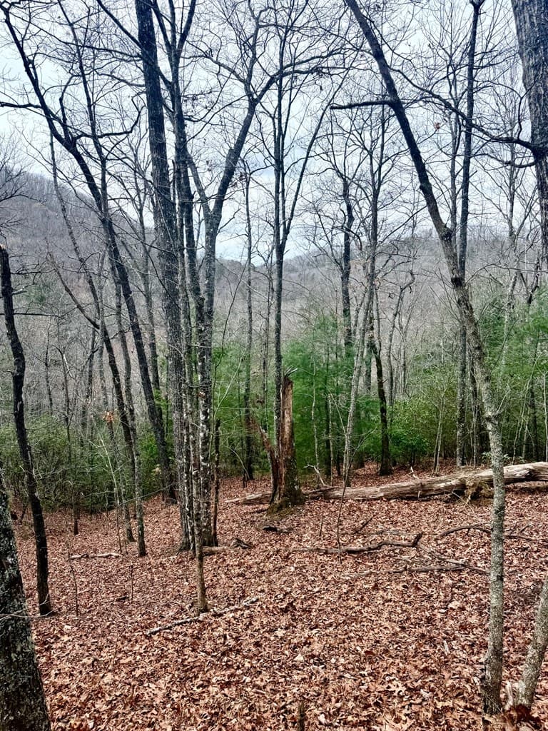 3.06 Ac Ridgeline Drive, Brasstown SC 29802 - Photo