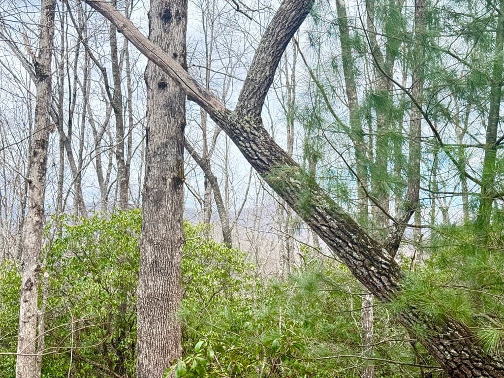 3.06 Ac Ridgeline Drive, Brasstown SC 29802 - Photo