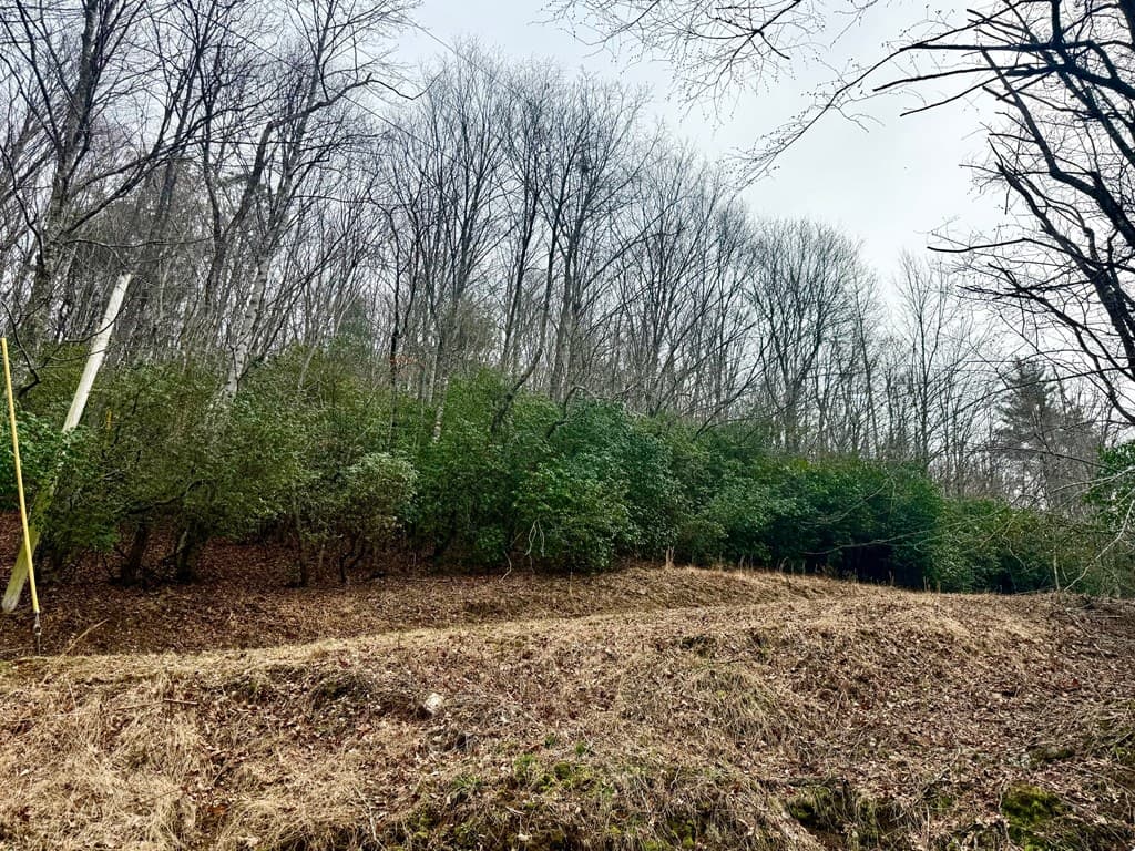 3.06 Ac Ridgeline Drive, Brasstown SC 29802 - Photo