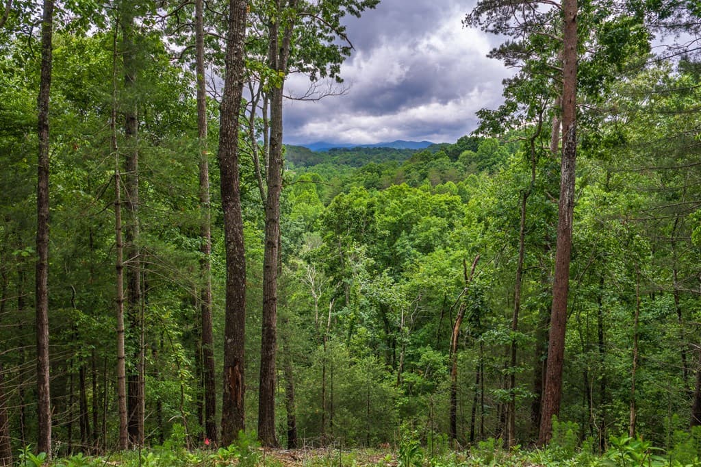 9 Deer Haven Drive, Morganton GA 30560 - Photo