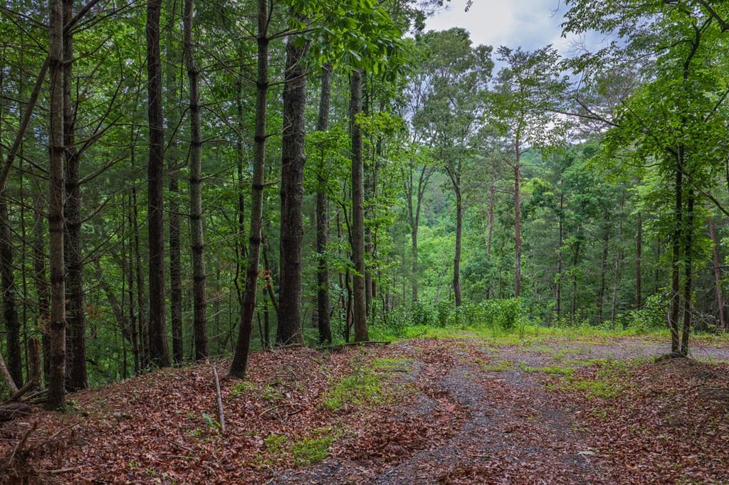 9 Deer Haven Drive, Morganton GA 30560 - Photo