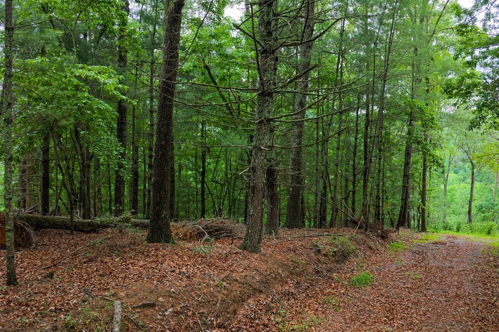 9 Deer Haven Drive, Morganton GA 30560 - Photo