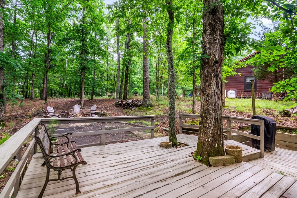 480 Pasha Drive, Ellijay GA 30540 - Photo