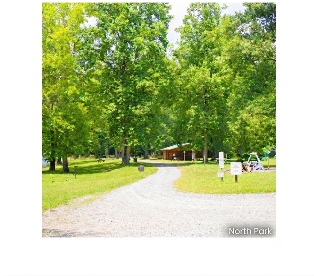 480 Pasha Drive, Ellijay GA 30540 - Photo