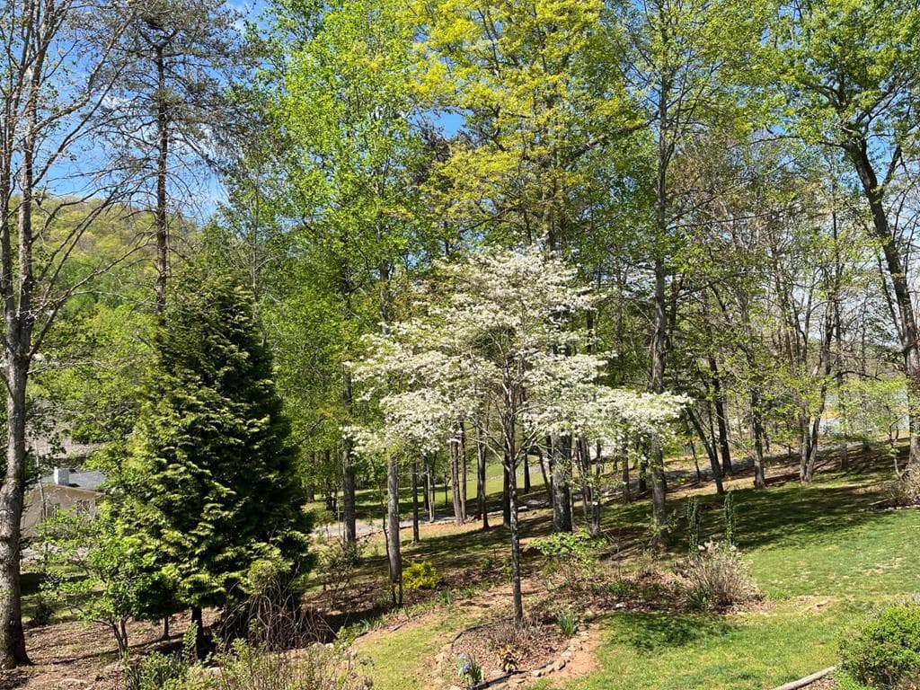 53 Windjammer Court, Hiawassee GA 30546 - Photo