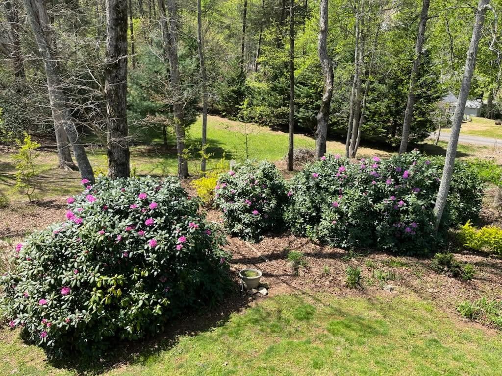 53 Windjammer Court, Hiawassee GA 30546 - Photo