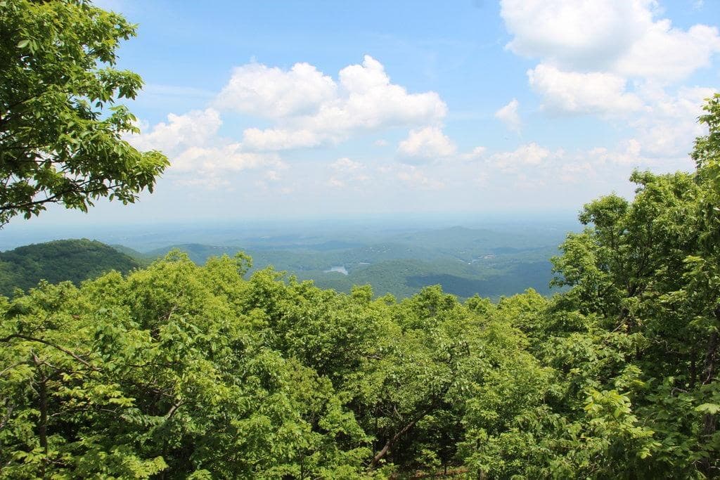 773 Fairview Road, Jasper GA 30143 - Photo