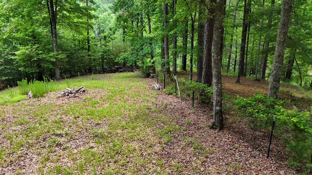 115 Degatide Drive, Murphy NC 28906 - Photo