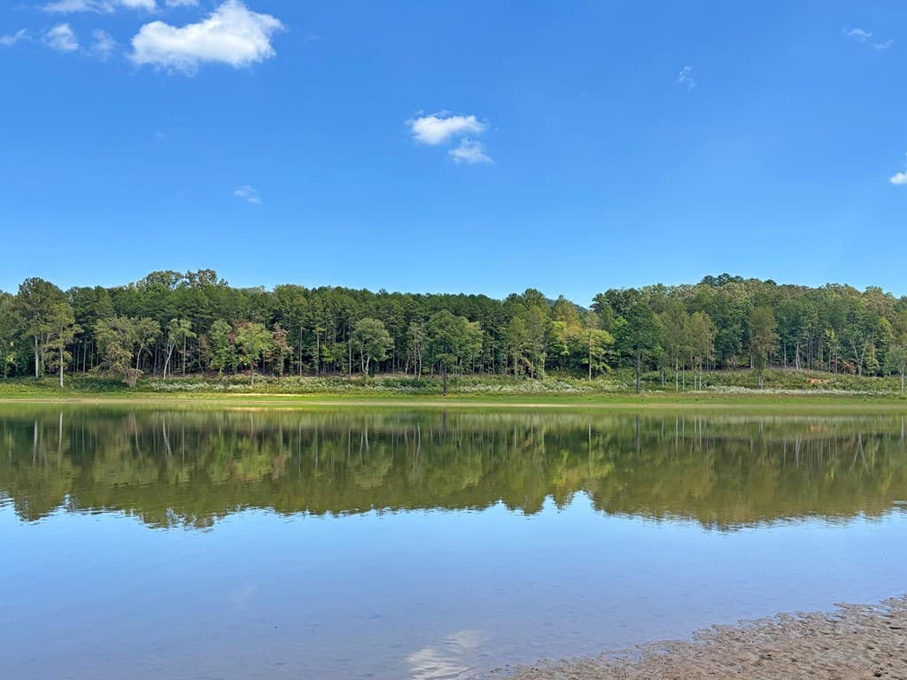 251 Walnut Rd, Blairsville GA 30512 - Photo