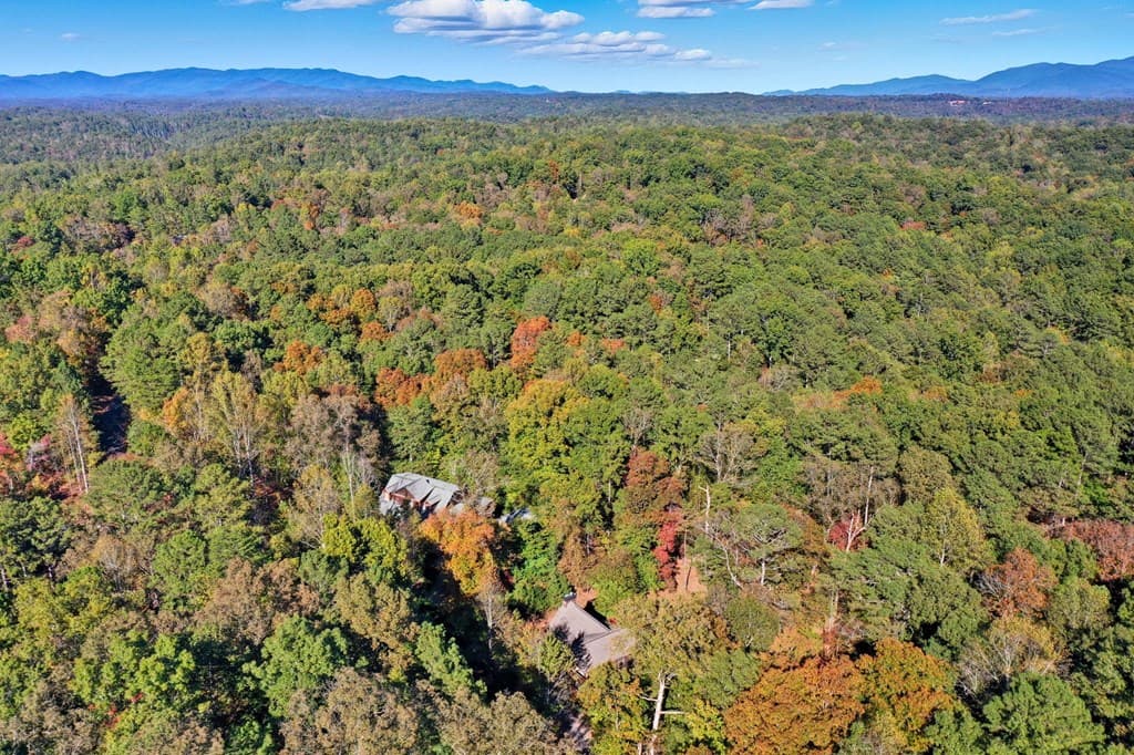 441 Carlisle Drive, Ellijay GA 30540 - Photo