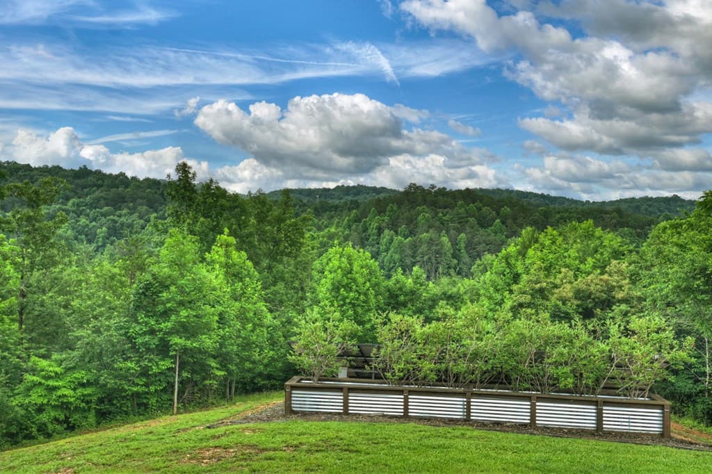 328 Arapaho Walk, Mineral Bluff GA 30559 - Photo
