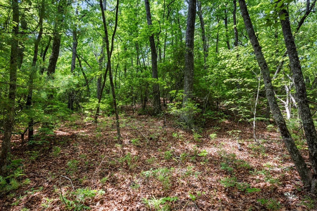 57.64 ac Mountain Ash Road, Ellijay GA 30536 - Photo