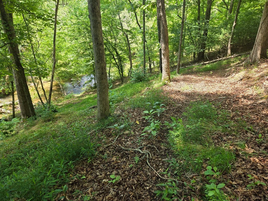 Tr 2 & 3 Settlement Road, Young Harris GA 30582 - Photo