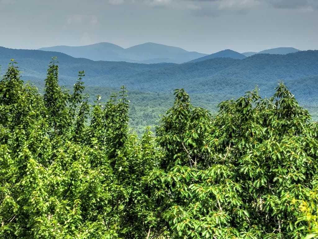 417 Bill Claypool Drive, Blue Ridge GA 30513 - Photo
