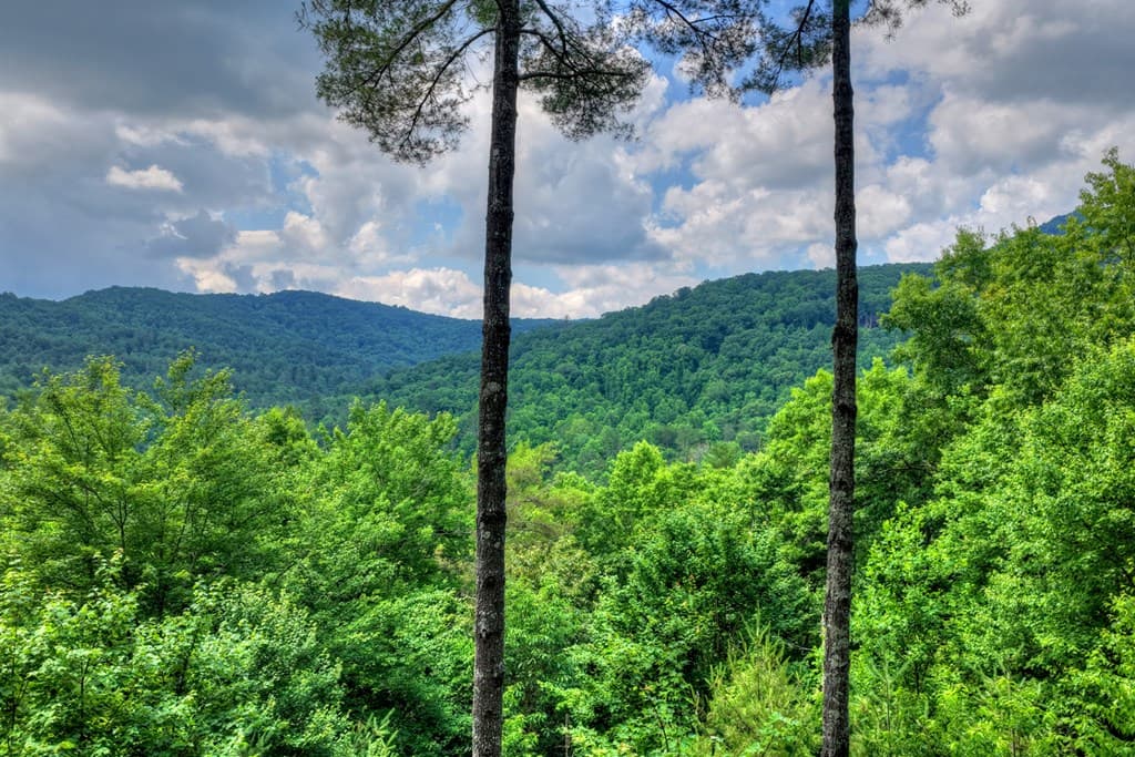 255 Indian Ridge Road, Epworth GA 30541 - Photo