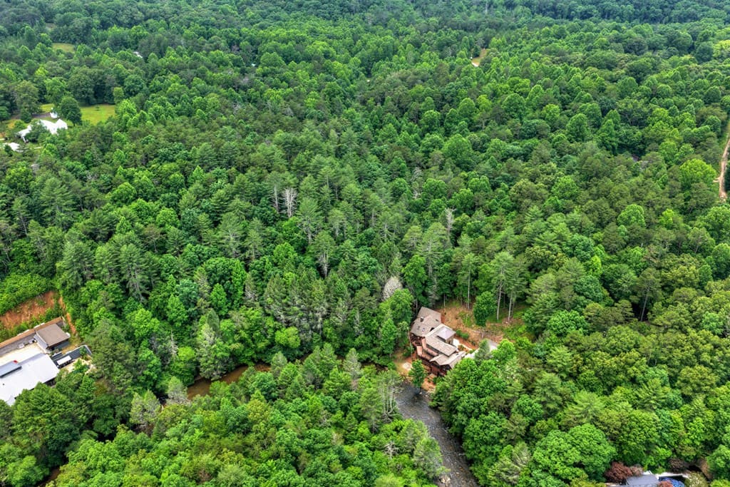 192 Delphi Hills Lane, Mccaysville GA 30555 - Photo