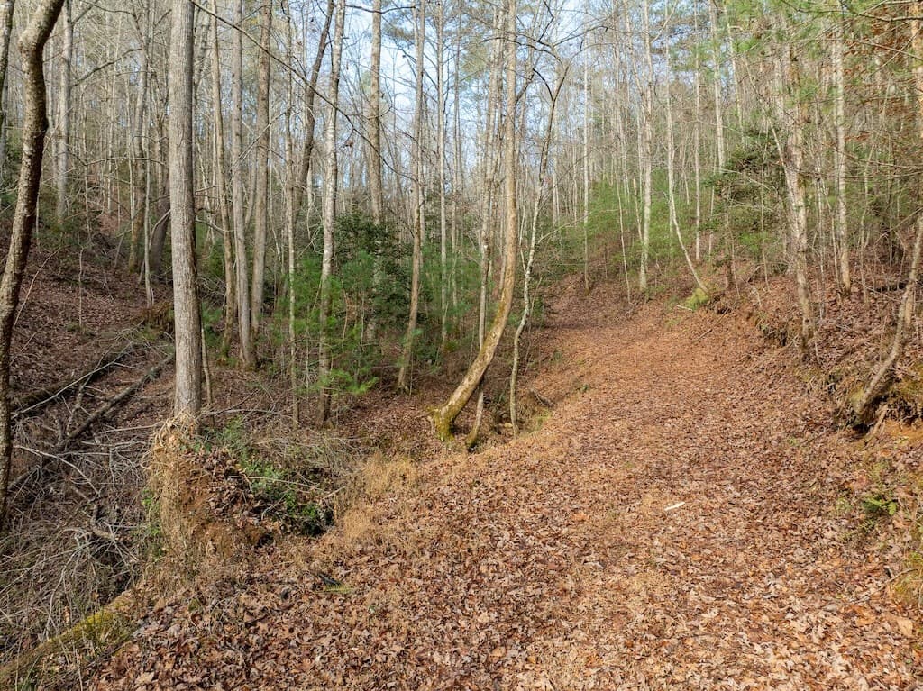 780 Banks Road, Ellijay GA 30540 - Photo