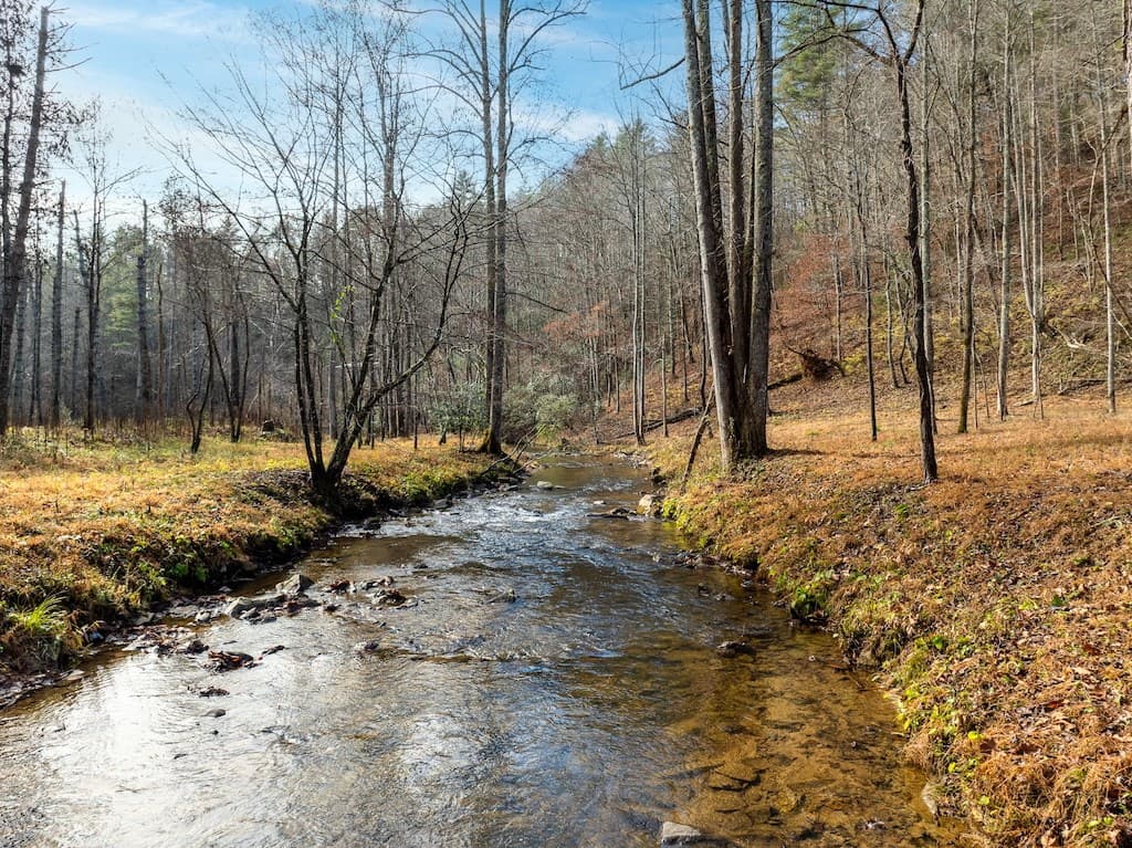 780 Banks Road, Ellijay GA 30540 - Photo