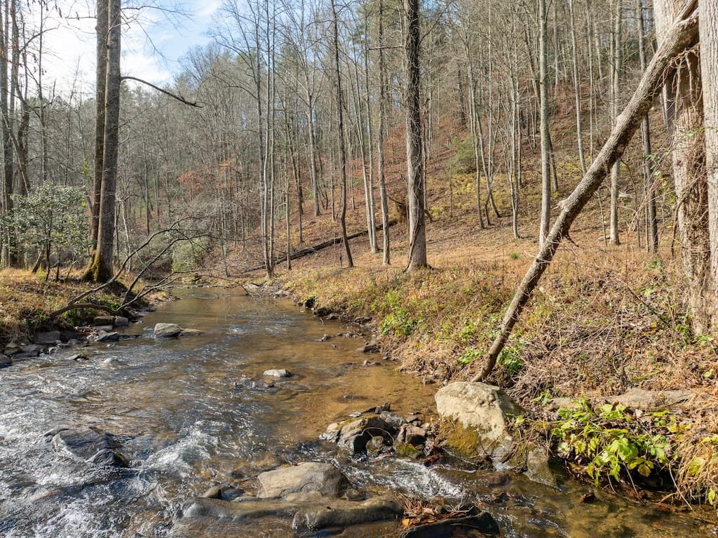 780 Banks Road, Ellijay GA 30540 - Photo
