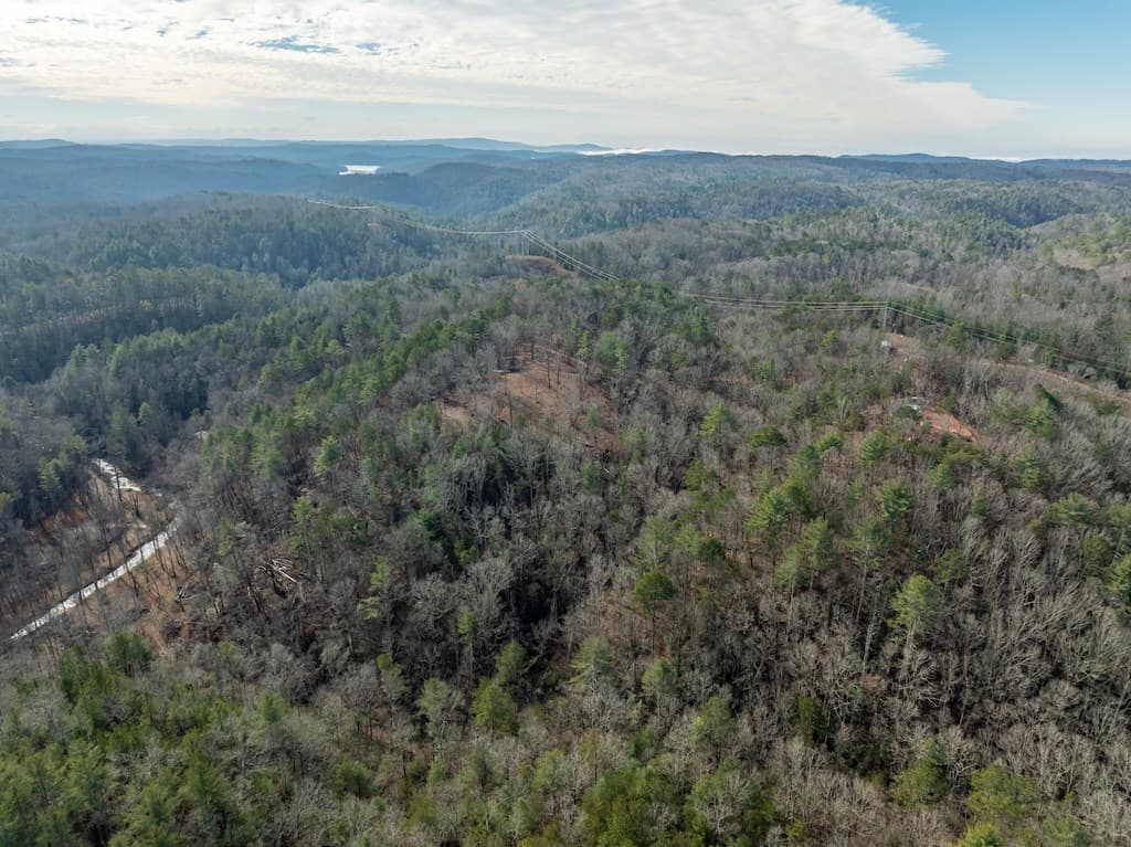 780 Banks Road, Ellijay GA 30540 - Photo