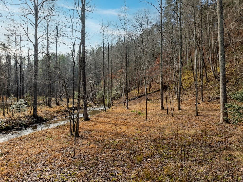 780 Banks Road, Ellijay GA 30540 - Photo