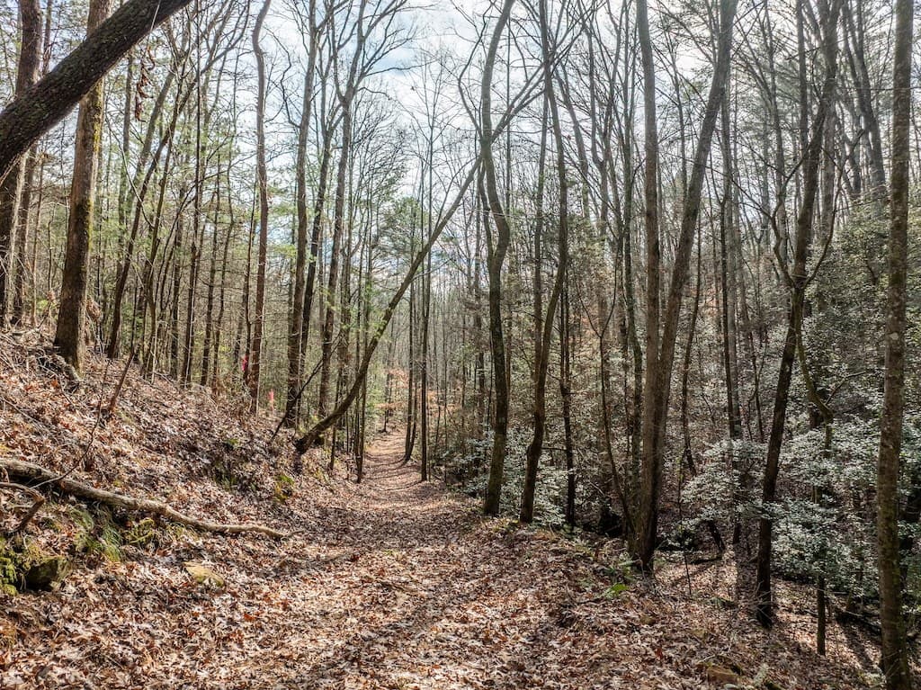 780 Banks Road, Ellijay GA 30540 - Photo