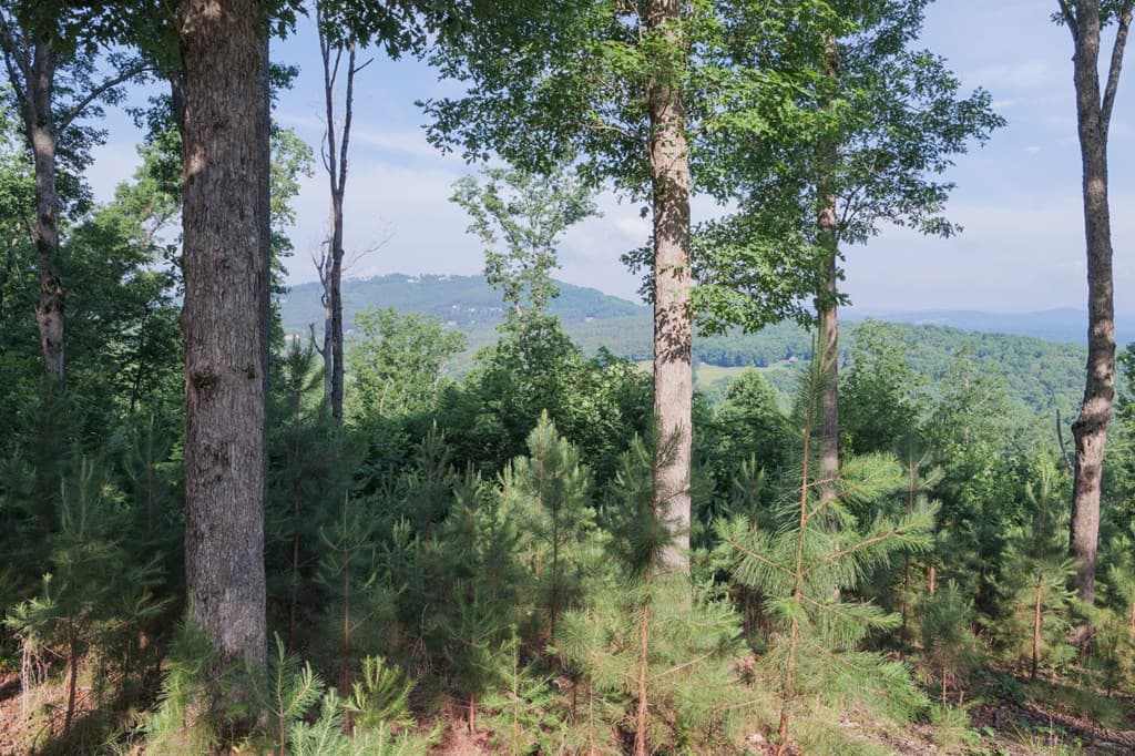 90 Winding Ridge, Blairsville GA 30512 - Photo