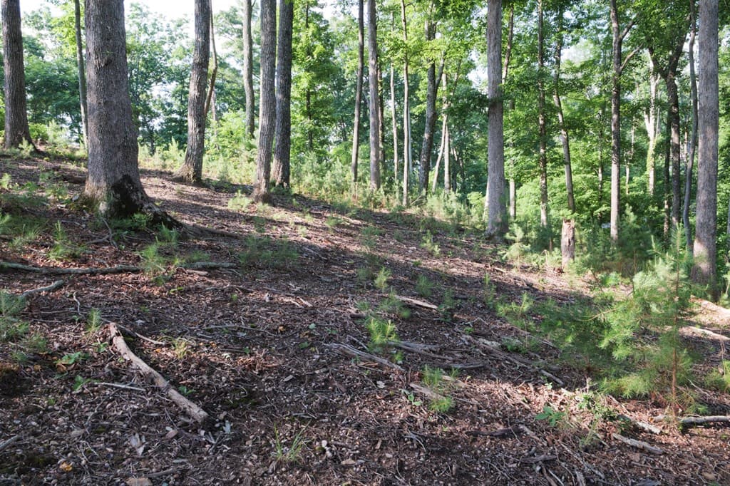 90 Winding Ridge, Blairsville GA 30512 - Photo