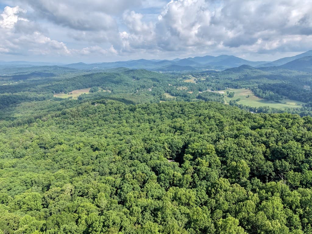 549 Cook Mountain Drive, Blairsville GA 30512 - Photo