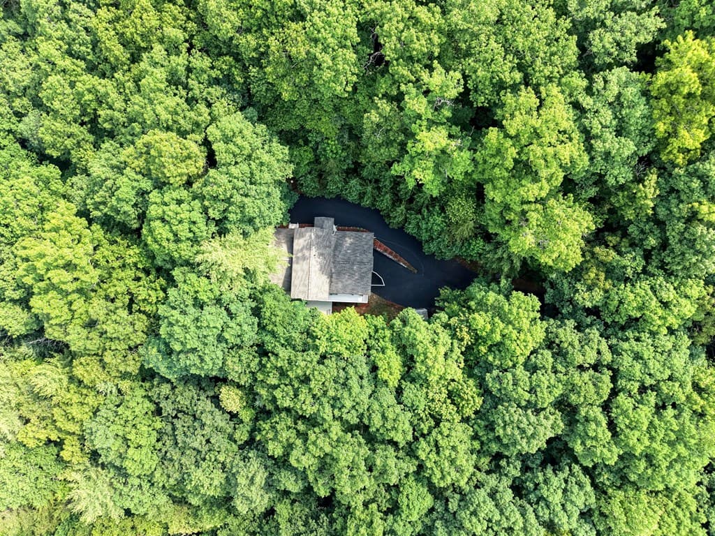 549 Cook Mountain Drive, Blairsville GA 30512 - Photo