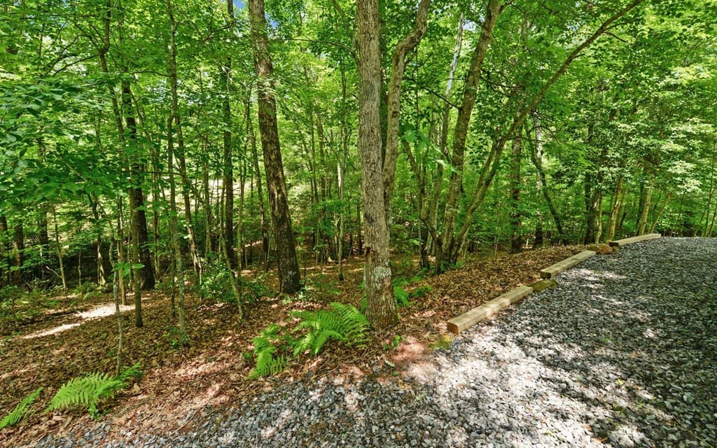 120 Covington Cove, Murphy NC 28906 - Photo