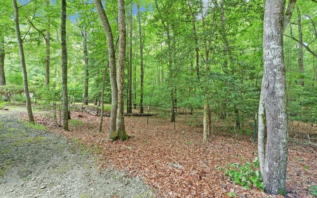120 Covington Cove, Murphy NC 28906 - Photo