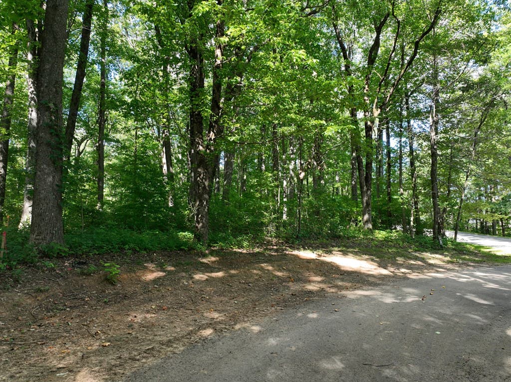 31 Highline Drive, Ellijay GA 30536 - Photo
