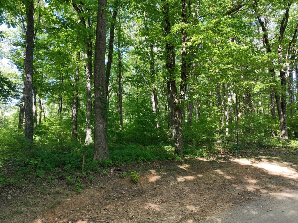 31 Highline Drive, Ellijay GA 30536 - Photo