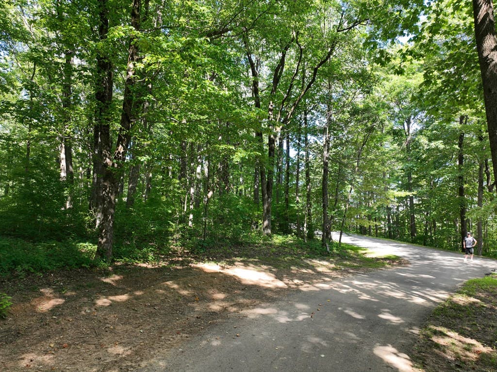 31 Highline Drive, Ellijay GA 30536 - Photo