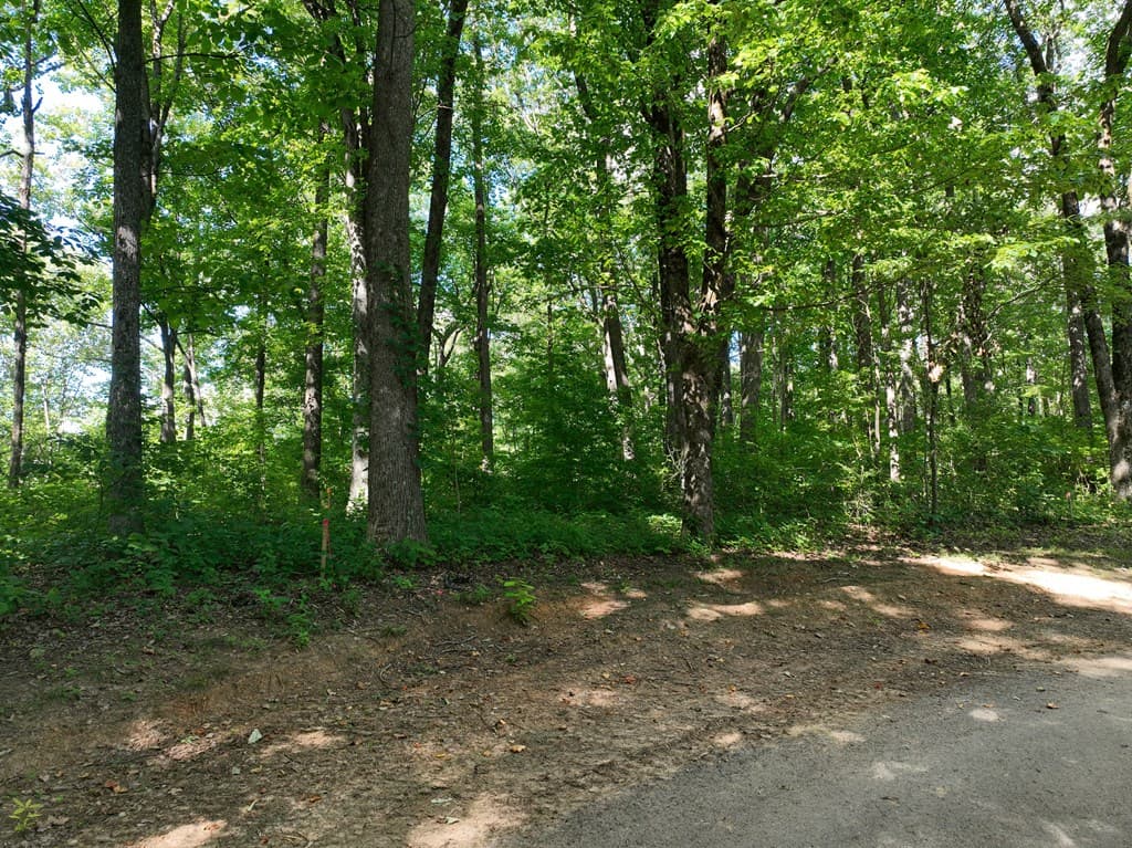 31 Highline Drive, Ellijay GA 30536 - Photo
