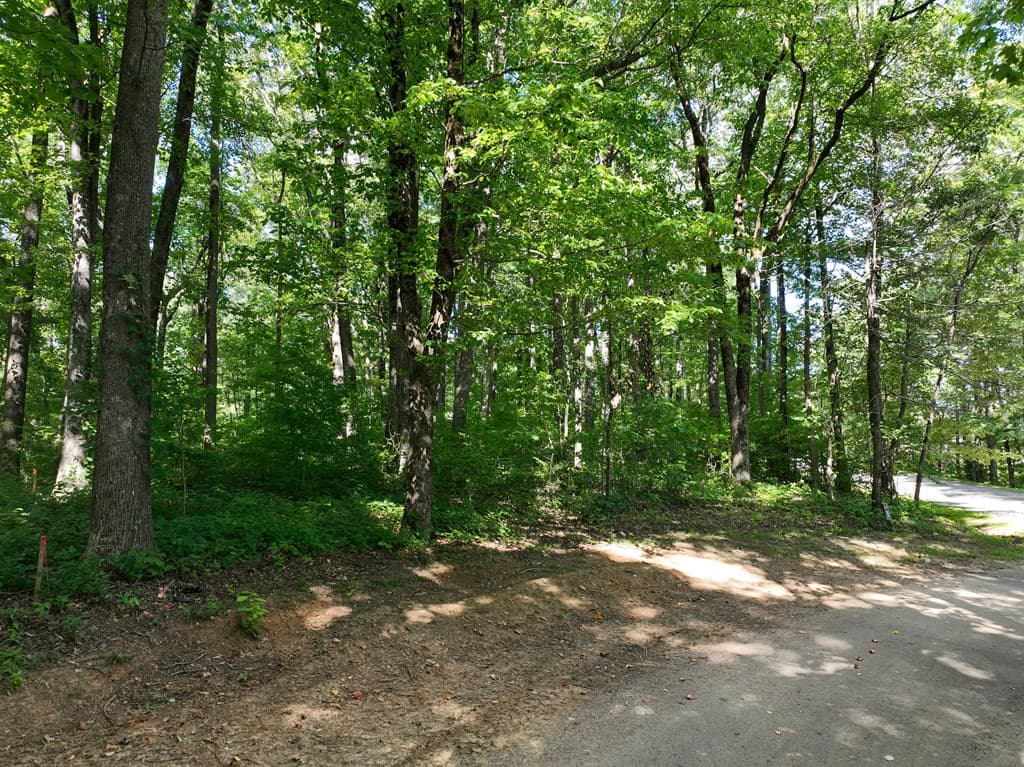 31 Highline Drive, Ellijay GA 30536 - Photo
