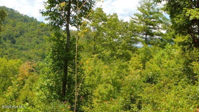 Lot 16 Tyler Ridge, Murphy NC 28906 - Photo