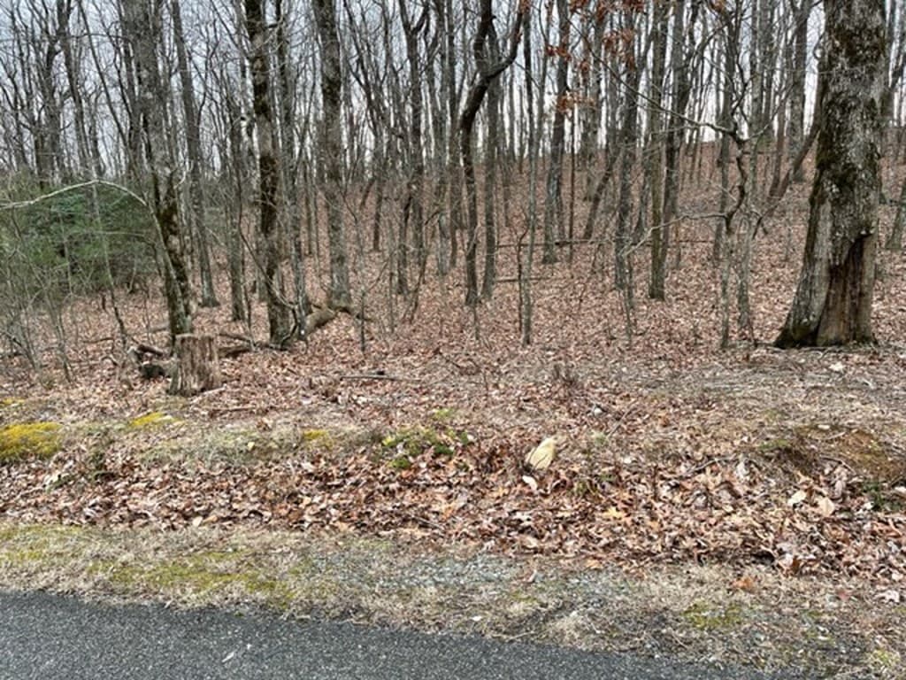 184 St Andrews Way, Ellijay GA 30536 - Photo