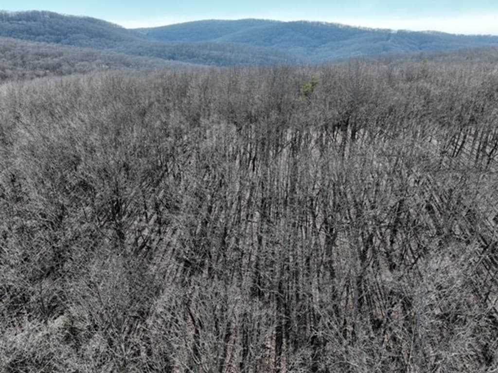 184 St Andrews Way, Ellijay GA 30536 - Photo