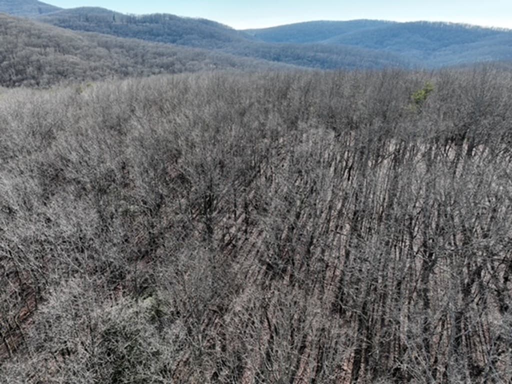 184 St Andrews Way, Ellijay GA 30536 - Photo