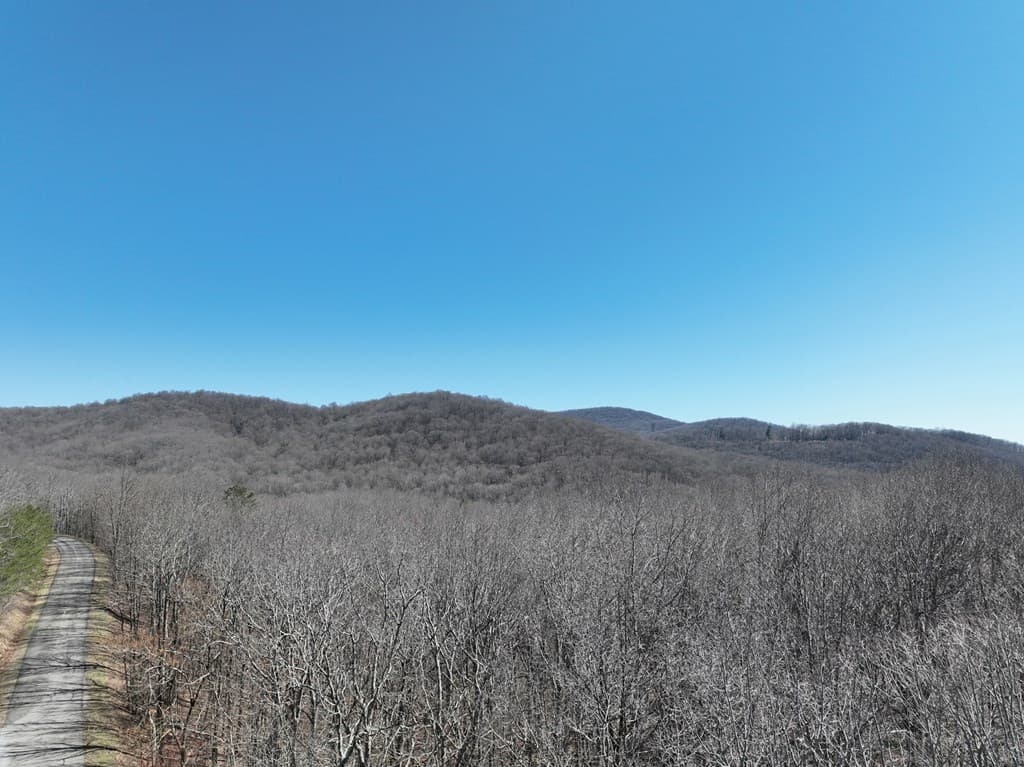 184 St Andrews Way, Ellijay GA 30536 - Photo