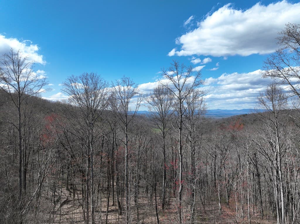 270R Stone Cliff Drive, Ellijay GA 30536 - Photo