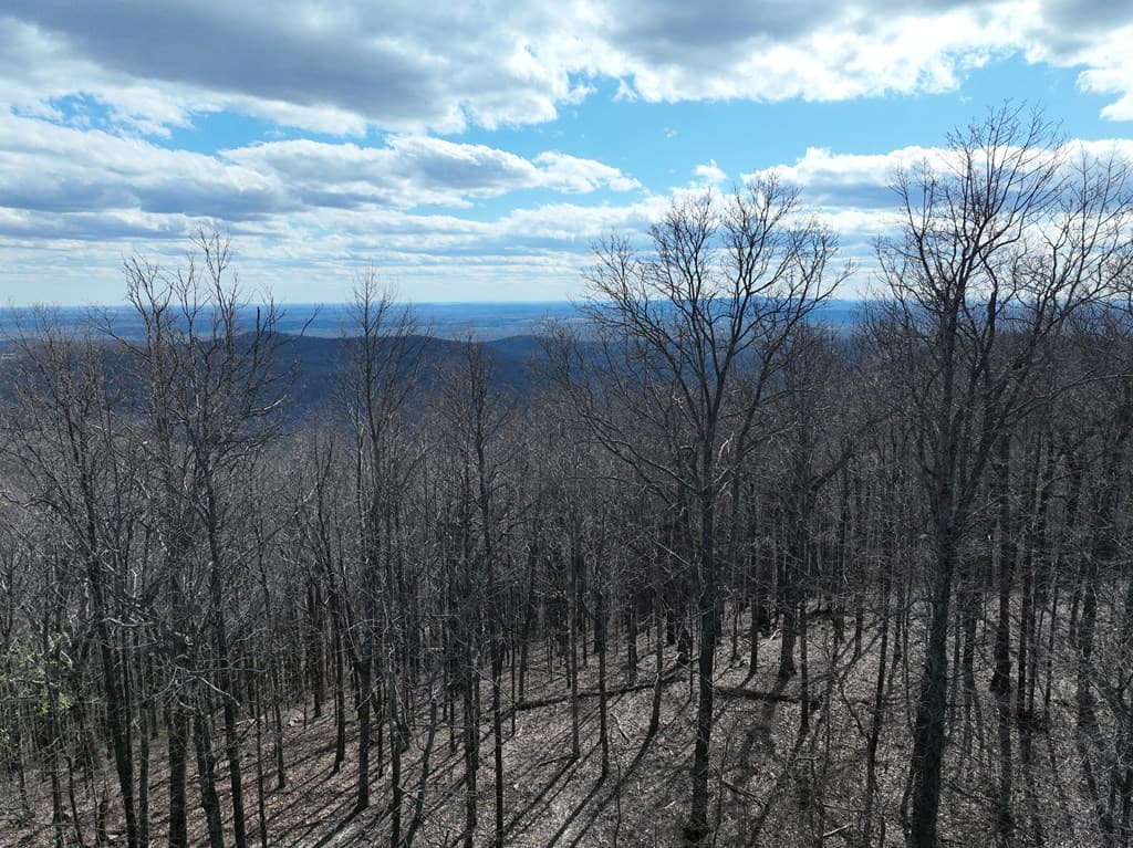 256 Blood Root Trail, Ellijay GA 30536 - Photo