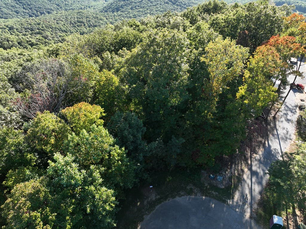 256 Blood Root Trail, Ellijay GA 30536 - Photo