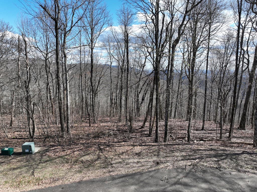 256 Blood Root Trail, Ellijay GA 30536 - Photo